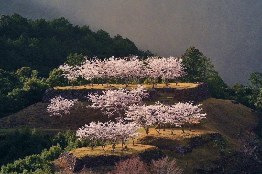 Iruka Onsen Hotel Seiryuusou Kumano Buitenkant foto